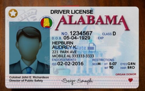 Alabama Driver License PSD Template | E-Gift Card Store BD