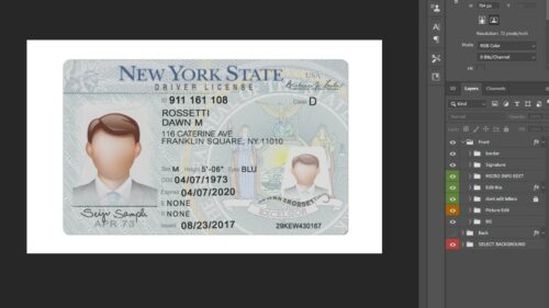 New York Driver License PSD Template | E-Gift Card Store BD