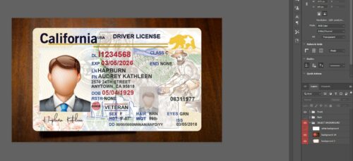 USA Any States driver license PSD Template | E-Gift Card Store BD