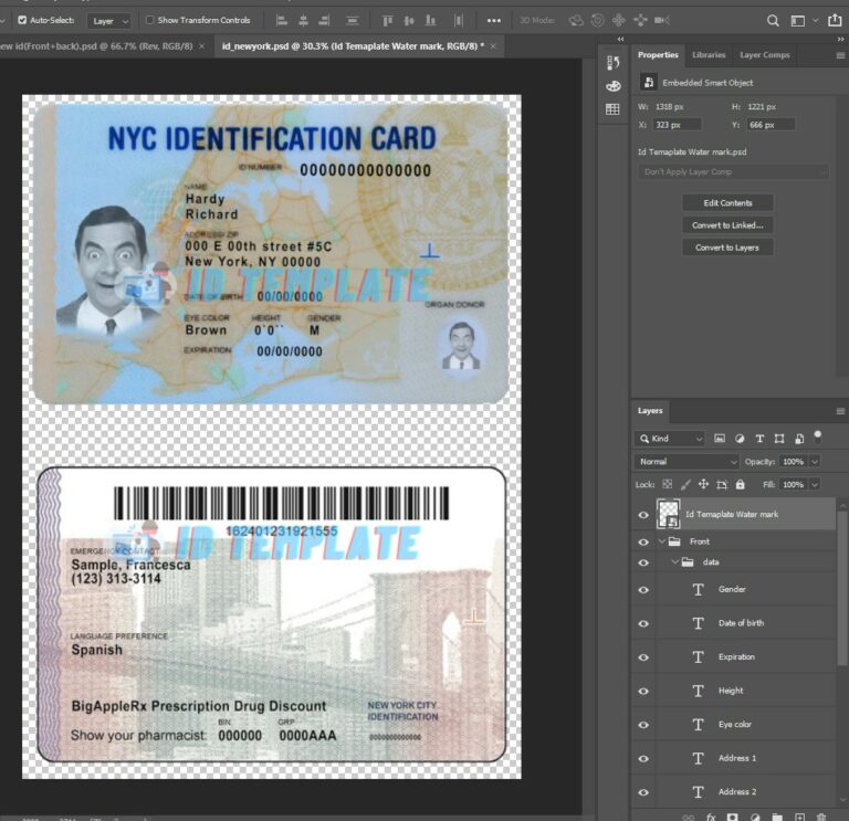 New York ID Card PSD Template | E-Gift Card Store BD